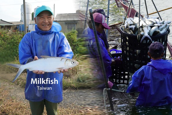 Songji Biotech Launches 1,000-Dalton Marine Peptides Backed by Hualien Tzu Chi Hospital Research Collaboration